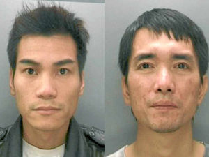 Supporting image for story: Prison for gang with West Midlands drugs farm network