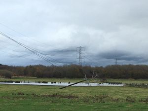 Supporting image for story: Homes still without power as Storm Arwen causes 'worst damage for 15 years'