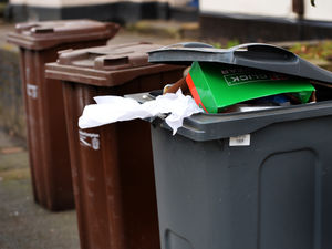 Supporting image for story: No bins to be collected in Shropshire on day of Queen's funeral