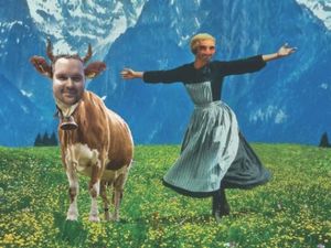 Supporting image for story: Wolves in Austria: Nathan Judah and Tim Spiers' Day 6 diary