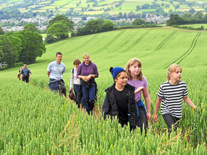 Supporting image for story: Walking trail will link Shropshire border to Cotswolds