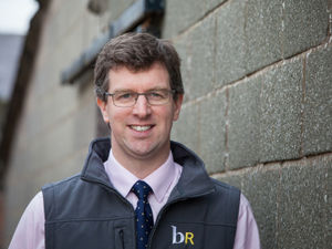 Supporting image for story: Making sure you have the best laid plans