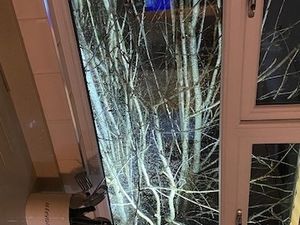 Supporting image for story: Near miss for couple as fallen tree takes out gutter and blocks back door