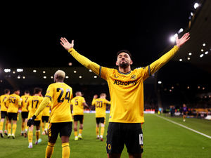 Supporting image for story: Wolves fan steps in as fourth official in Brentford win