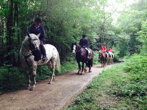A trek with Penycoed Horse Riding Centre
