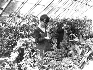 Supporting image for story: Oswestry's Derwen College invites visitors to uncover its 92-year history