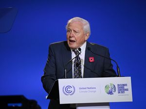 Supporting image for story: United Nations names David Attenborough Champion of the Earth