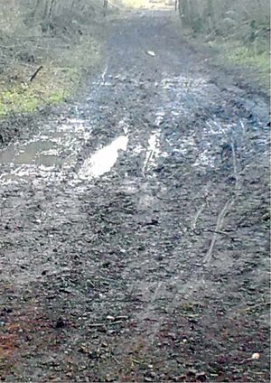 Muddy puddles a misery for cyclists