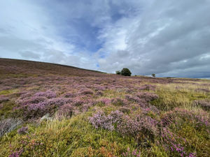 The Brecon Beacons offer great views both in the day and at night
