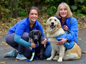 Supporting image for story: 'No two puppies are ever the same': Guide dog trainer tells of puppy love