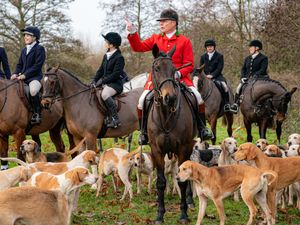 Supporting image for story: Ministers urged to end ‘smokescreen’ of trail hunting as Boxing Day hunts near