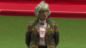 Di Arrowsmith judges the gundogs