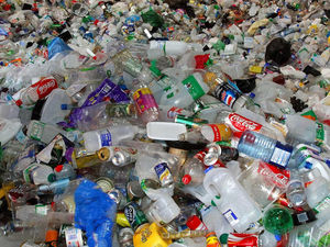 Supporting image for story: Council hails increased recycling rate