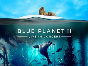 Supporting image for story: Blue Planet II: Live In Concert coming to Birmingham