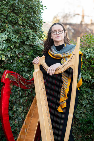 Karen Marshalsay with the bray - the not so angelic harp!