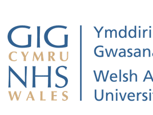 Supporting image for story: The Welsh Ambulance Service is preparing to host its bi-monthly Trust Board meeting