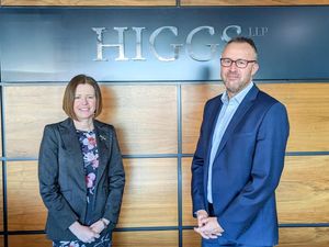 Supporting image for story: Higgs strengthens marketing team with a digital hire