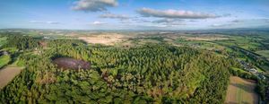 Nesscliffe Hillfort.