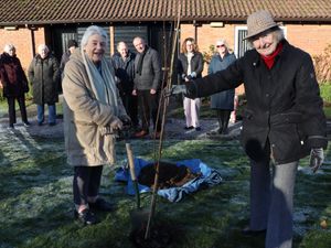 Supporting image for story: Tree planting to mark 40 years of affordable housing
