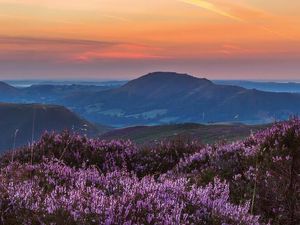 Supporting image for story: Photographer's book gets to heart of hills