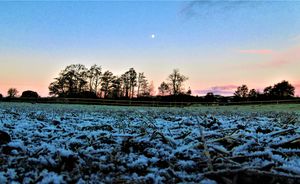 Supporting image for story: So can we expect a white Christmas in the West Midlands this year?