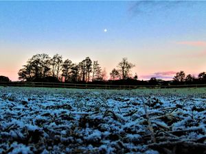 Supporting image for story: So can we expect a white Christmas in the West Midlands this year?