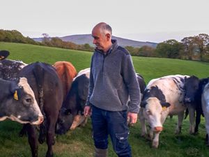 Supporting image for story: Shropshire chairman welcomes positive changes to ELMs for uplands farmers 