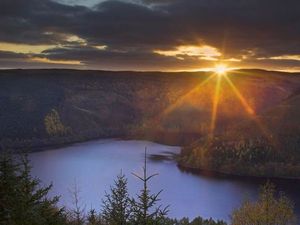 Supporting image for story: Find out about the best optics for bird watching at RSPB south Shropshire meeting
