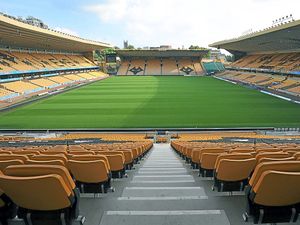 Supporting image for story: Test your Wolves knowledge - QUIZ November 18th