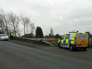 Supporting image for story: Bones in bag found by workmen in Bilston belonged to animal