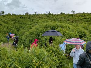 A group of Ukrainian refugees under umbrellas on Old Oswestry Hillfort 