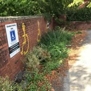 An area of a Llandrindod Wells car park covered in weeds before Jerry gave it his attention