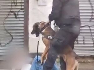 Supporting image for story: Moment police dog set on 'terrified' teenager following reports of '17-man brawl'