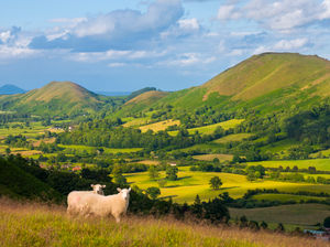Supporting image for story: Flashback to 2001: Scientists hit the jackpot with Shropshire fossil