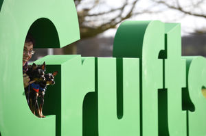 Amanda Orchard with her Russian toy dogs named Pride and Austin at the launch of the Crufts Dog show at the Birmingham National Exhibition Centre