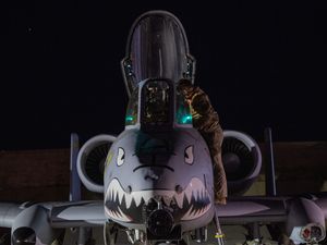 Supporting image for story: US military launches strikes in Syria targeting Islamic State fighters