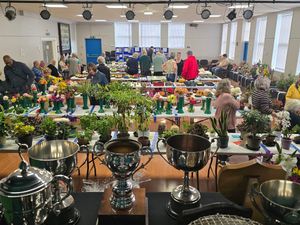 Supporting image for story: Record-breaking success at the Horsehay Horticultural Society's annual show