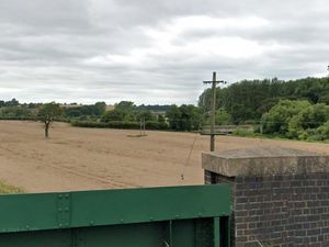 Supporting image for story: Two new dog exercising fields are given green light 

