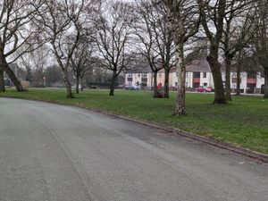 Supporting image for story: 'I think we are all a bit shocked to be honest': Residents react after body of man found in 'quiet' Willenhall green space