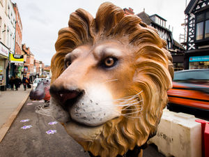 Supporting image for story: The wild Wyle Cop: Security guard hired to protect Shrewsbury animal sculptures