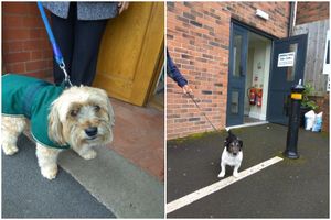 Supporting image for story