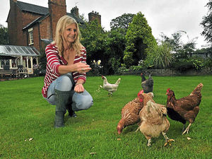 Supporting image for story: Crufts of poultry world to be staged in Shropshire