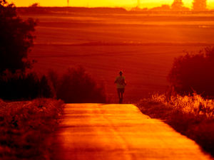 Supporting image for story: Where to expect highest temperatures in the West Midlands with latest heatwave on the way