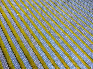 Supporting image for story: Clean energy to meet nearly half of world’s electricity demand by 2030