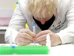 Supporting image for story: Health experts fear rapid tests may distract from vaccine work