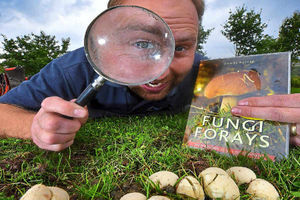 Supporting image for story: Join fungi walk at Severn Valley Country Park