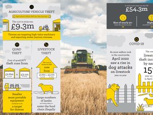 Supporting image for story: Call for more action to protect farms against rural crime wave