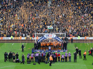 Supporting image for story: Steve Bull: Days the Wolves players will never forget