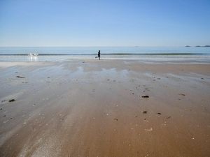 Supporting image for story: Adherence to lockdown guidelines falls as confidence in Government drops – study