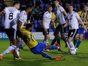 Supporting image for story: Shrewsbury Town v Sheffield Wednesday: Shrews look to roar into 2022 against Owls